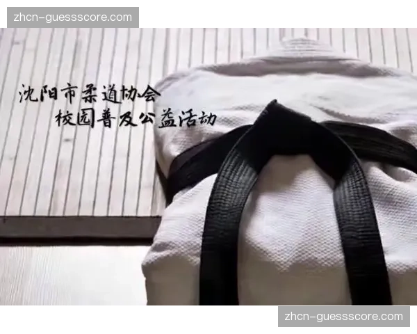 柔道进校园活动在法国中小学持续推进，月度参与学生人数创新高